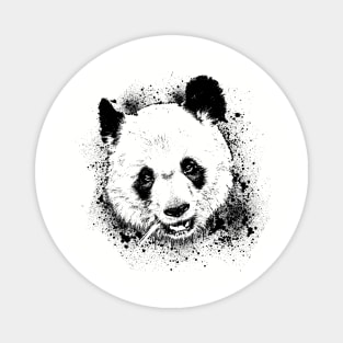 Giant Panda Animal Wildlife Forest Nature Bamboo Adventure Graphic Magnet